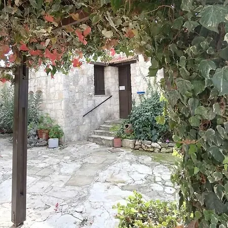 Kissos Katikas